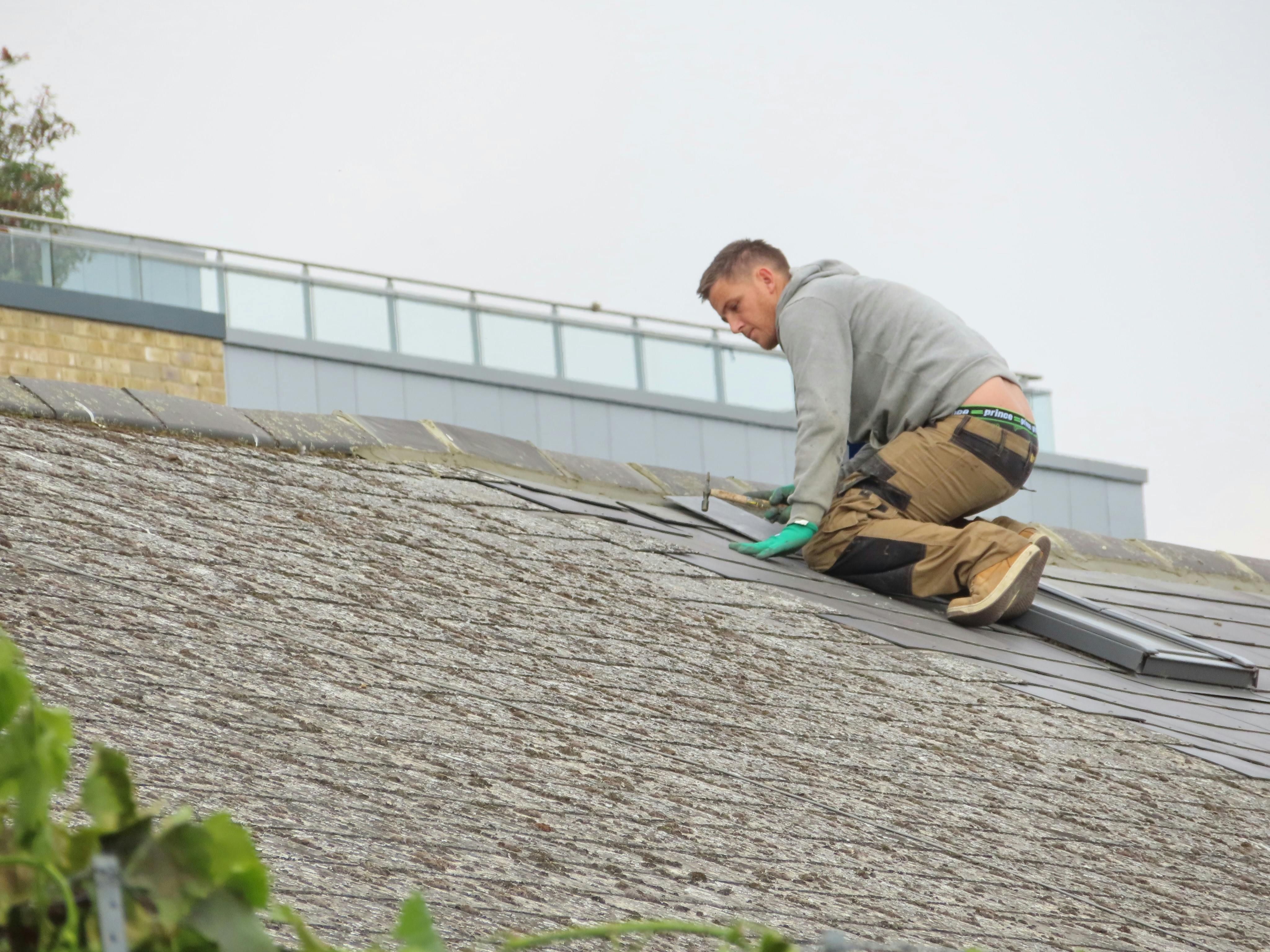 Renovation Contractor